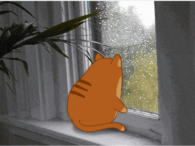 Autumn day animal animation cat character fall gif pet rain sticker teodor video window