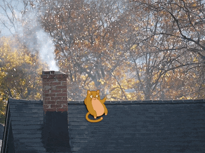 Spying on Teodor's morning routine animal animation breakfast cat coffee gif morning pet roof smoke teodor