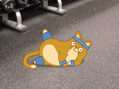 Let's get in shape! animal animation cartoon cat fitness gif gym sport teodor toon