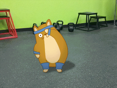 Keep moving! animal animation cartoon cat fitness gif gym sport teodor toon
