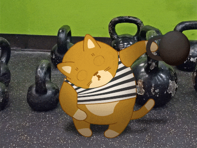 Kettlebell workout animation cat character fitness gif gym pet sport