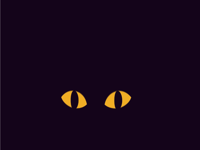 I see you, kitto animal animation cartoon cat character minimalism pet story