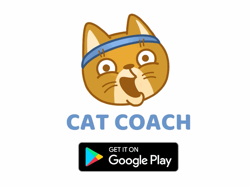 Cat Coach android animal app cat character coach fitness google pet sport