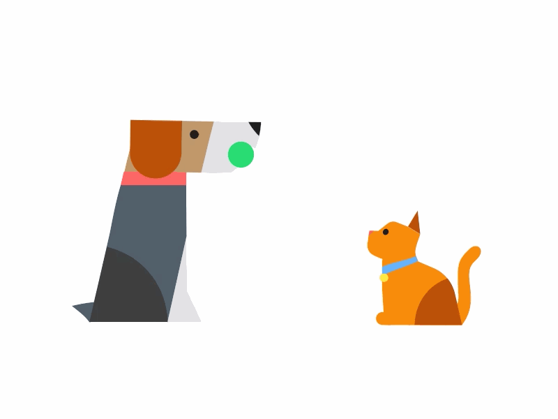 Animation for Teddy Food adopt animal animation ball cat dog gif kickstarter pet play shelter