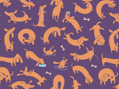 Dachshunds Pattern Variation