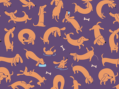 Dachshunds Pattern Variation animal breed character dachshund dog pattern pet seamless texture tile