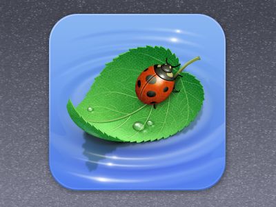 iPool drop icon iconka ladybug leaf nature pool ripple road water