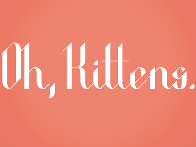 Oh, kittens. handlettering typography