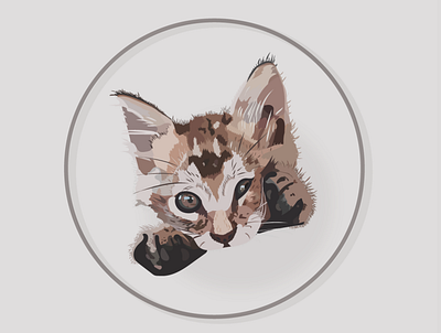 Kitty animal animals app art cat cats design dog drawing gato illustration illustrator inspiration minimal ui uidesign ux uxdesign