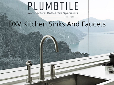 DXV Kitchen Sinks And Faucets dxv faucets dxv kitchen faucets dxv plumbing kitchen accessories in kitchen renovation kitchen upgrade stylish dxv kitchen faucets
