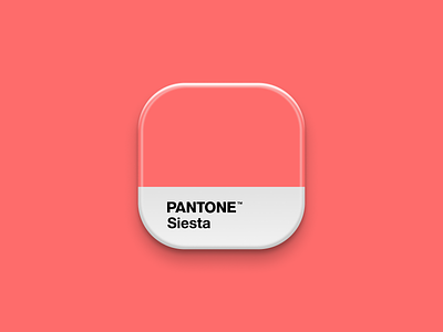 Pantone Icon colour icon iconography pantone