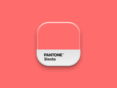 Pantone Icon