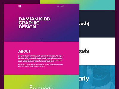 Damian Kidd - Website