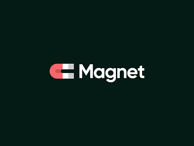 Magnet