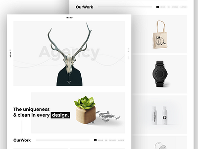 Trend Creative Concept Portfolio