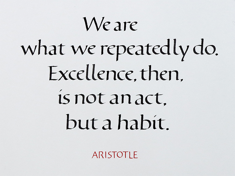 Excellence is a habit by Anna Konyukhova on Dribbble