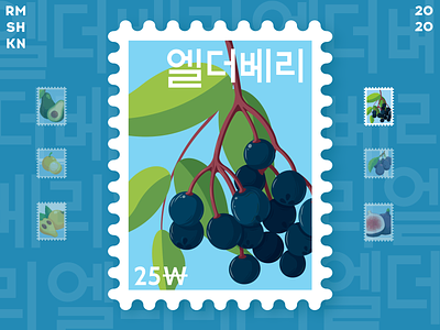 Elderberry post stamp art berry blue bunch design elderberry food fruit healthy hieroglyphs illustration juicy korean leafs post stamp stamp illustration ui vector vegan