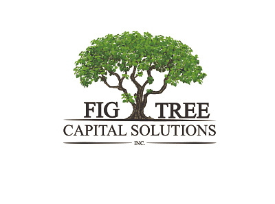 Fig Tree Capital Solution animation branding business logo design canada design illustration logo design logodesign logotype typography vector webdesign