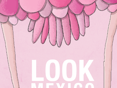 Look Mexico Poster illustration print type wacom