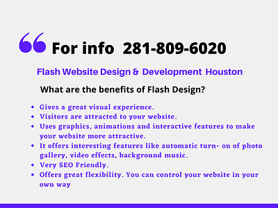 Flash Website Design Development Houston logodesign website design