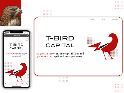 T-Bird Capital capital entrepreneurship logo tbird venture capital web design