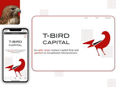 T-Bird Capital