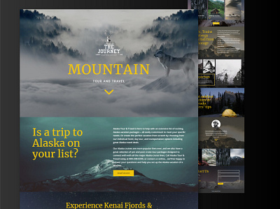 Travel Website Design travel app travel web travel website travel website design web design webdesign website