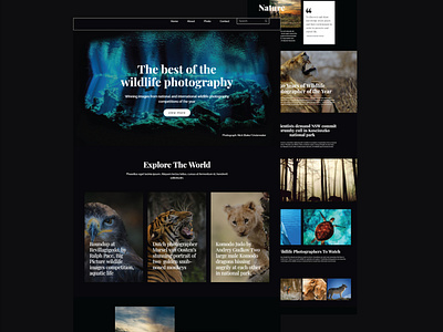 Photography Website Design