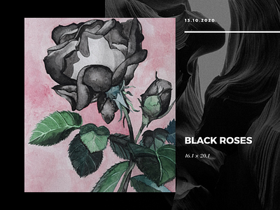 Black Roses