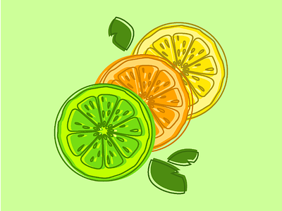 Slice design illustrator lemon lime orange vector