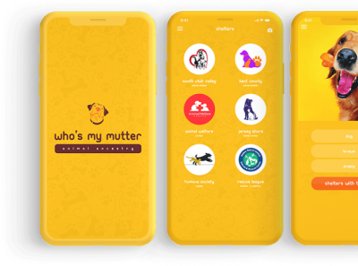 mutter 768x495 build mobile app