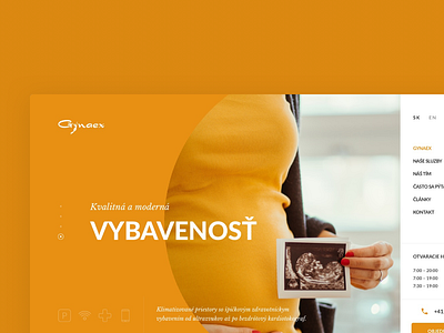 Gynaex homepage by Milan Chudoba on Dribbble