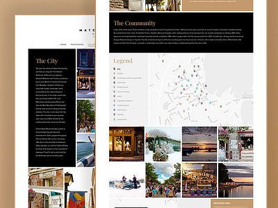 The Area animation dynamic map parallax responsive ui ui design ux ux design web wordpress