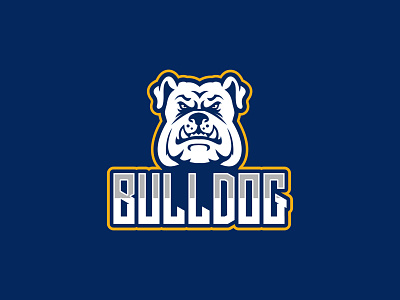 Bulldog buldog design graphic design logo logo design masculine logo vector