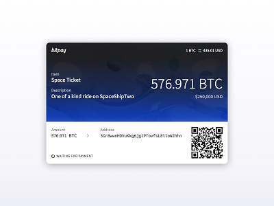 Checkout - Day 002 @dailyui bitcoin bitpay btc checkout dailyui qr scan space spaceship