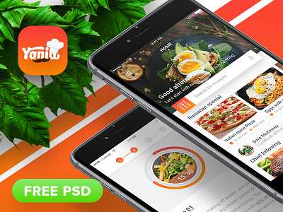 “Yonia” food recipes iOS mobile app design (FREE PSD)