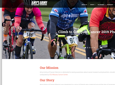 Amy's Army of Cancer Warriors design ux web