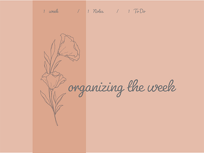 organizing the week