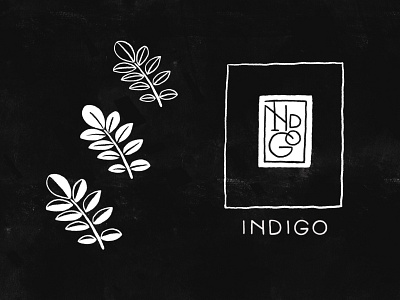 Indigo Logo