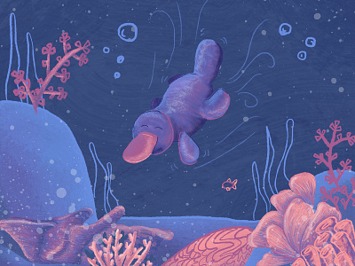 Happy Platypus childrens art childrens book childrens illustration platypus swimming