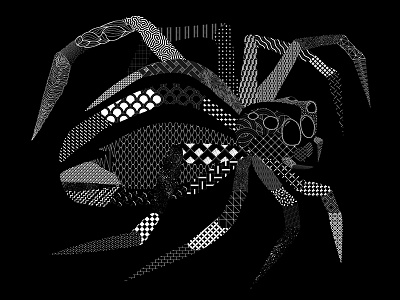 Arachnid Spider illustration lines patterns spider vector