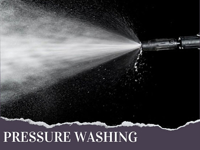 Best Pressure Washing Services in Naples, FL pressure washing naples