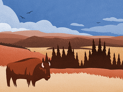 Home Where the Buffalo Roam - Illustration