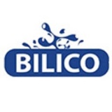 Bilico Miền Nam