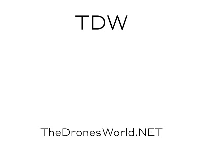 The Drones World branding design drone icon layout logotype type type layout typography
