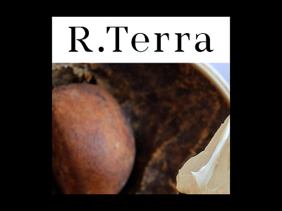 R. TERRA IDENTITY