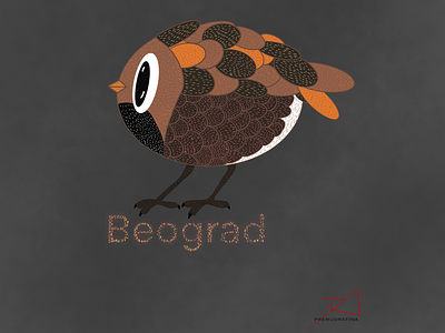 Symbol of Belgrade belgrade beograd sparrow