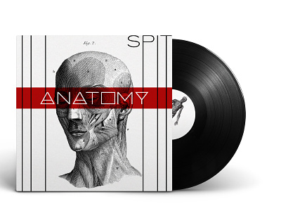 Album Cover: Anatomy by Spit album album art album artwork album cover album cover design anatomical anatomy design illustration vector