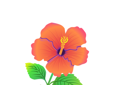 Hibiscus graphic design illustration vec vector