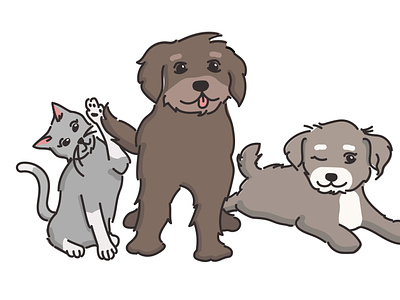 Illustration for a Pet Company